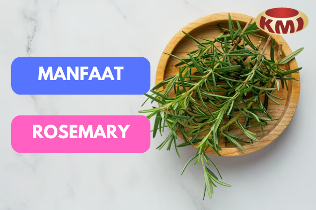 Rosemary: Bumbu Aromatik yang Memberikan Sentuhan Sehat pada Hidangan